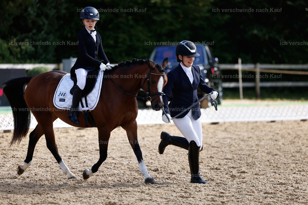 01--Ponyführzügel -StoibPH-6785 | working equitationturnier fotograf videograf stoibphotography marixx film working equitation deutschland reitsport turnierfotografie eventfotografie equestrian events