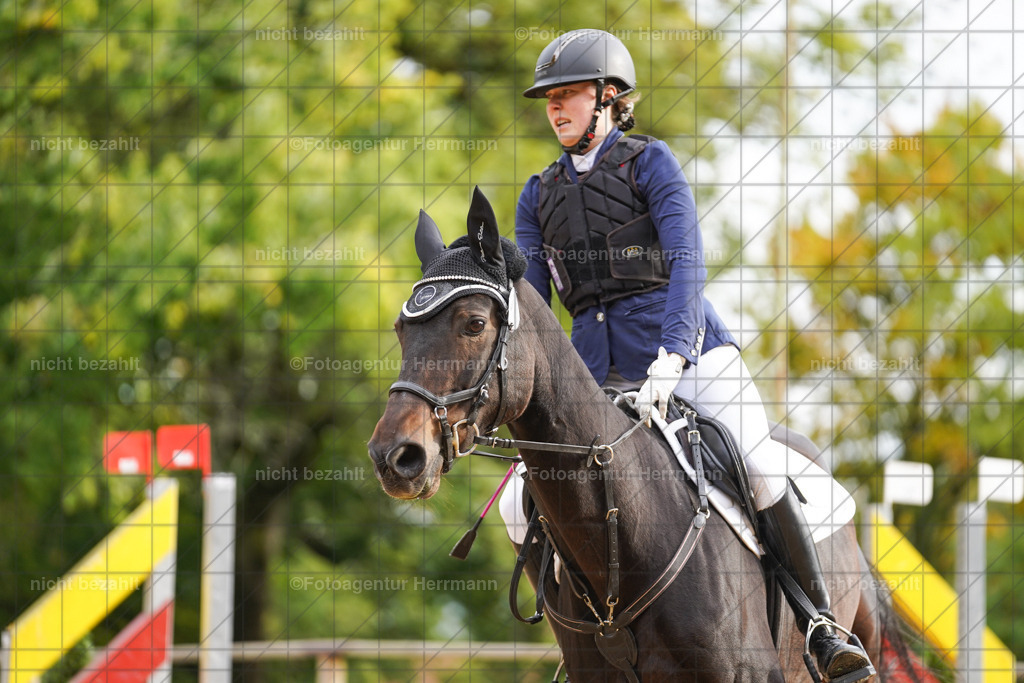 20221009-FAH08457 | Diessen am Ammersee, 2022, Dressur- und Springturnier, Reitsportbilder, Turnierfotografen Bayern, Pferdefotografen, Fotoagentur Herrmann, Turnierbilder