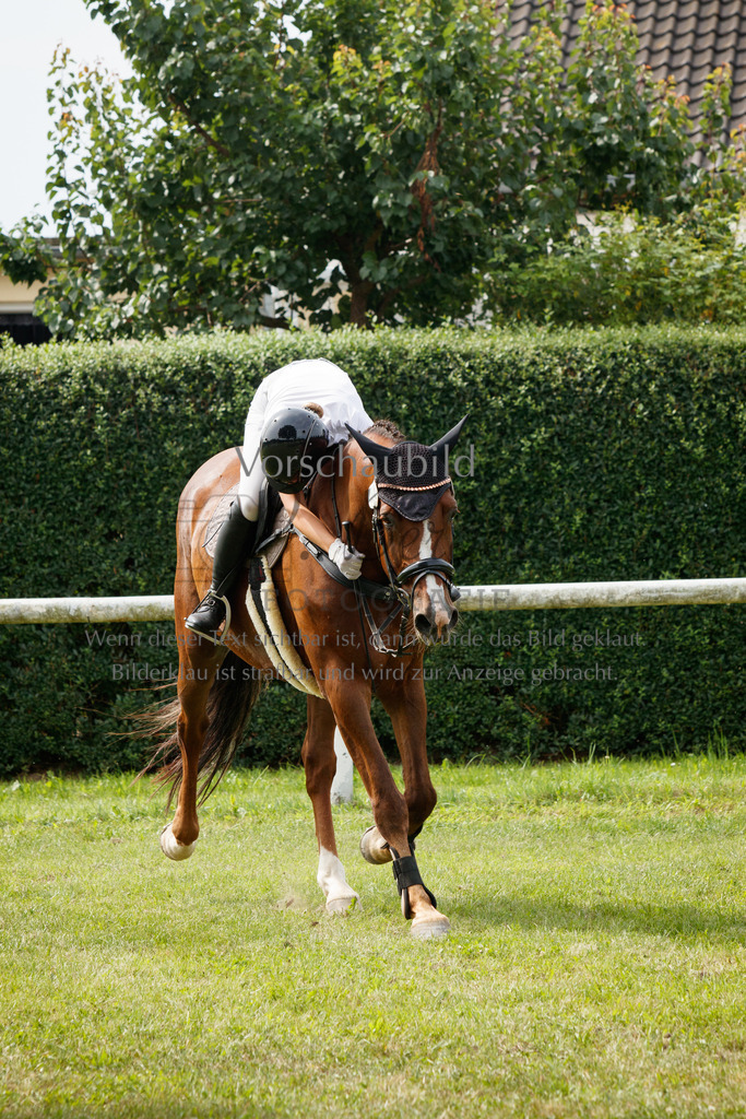 IMG_3001 | P. Berger Fotografie - Realisiert mit Pictrs.com