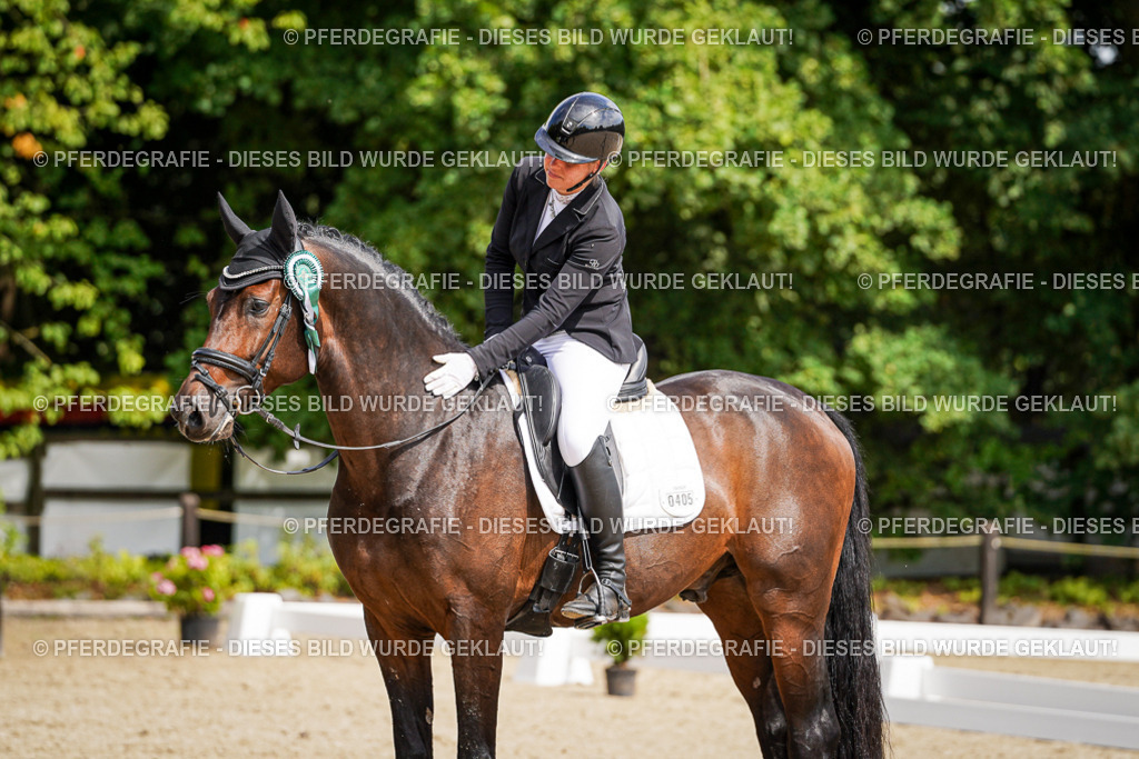 DSC09827 | Pferdegrafie