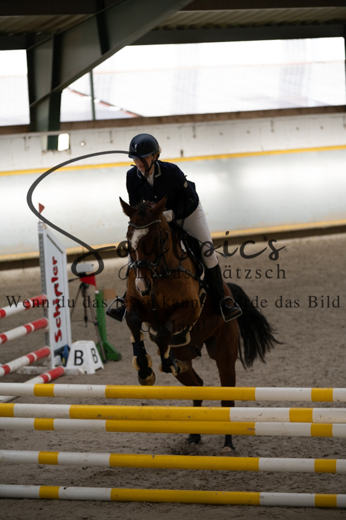 A7V02244 | Pferdefotograf