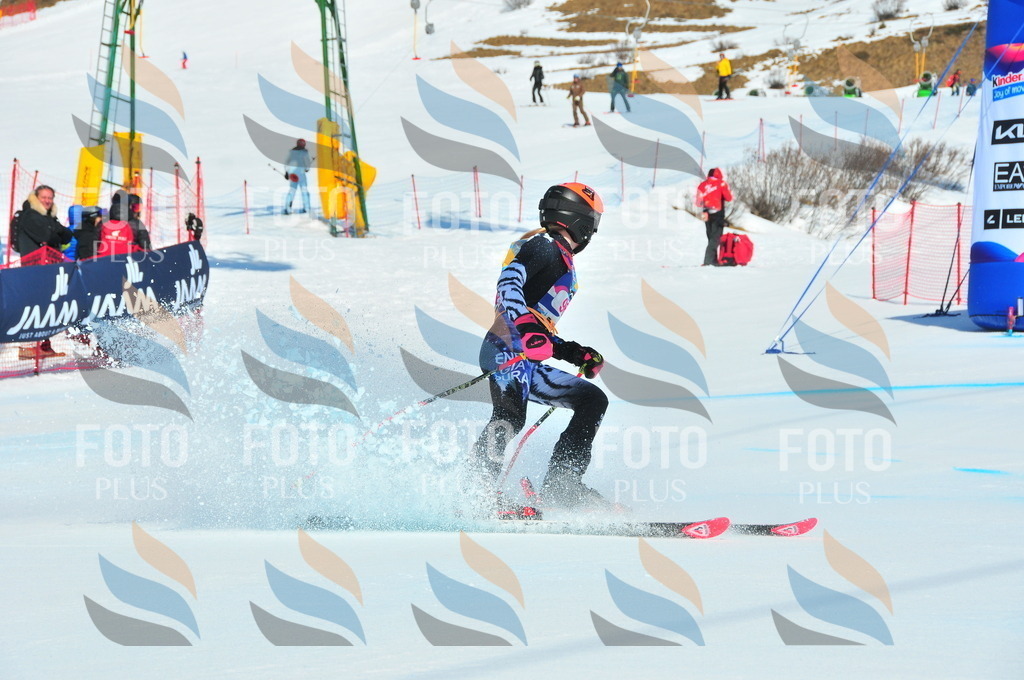 DSC_4559 | holidayphoto