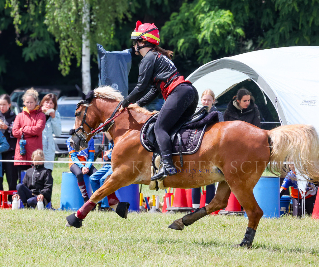 1B3A2284 | Reitsport Reiten