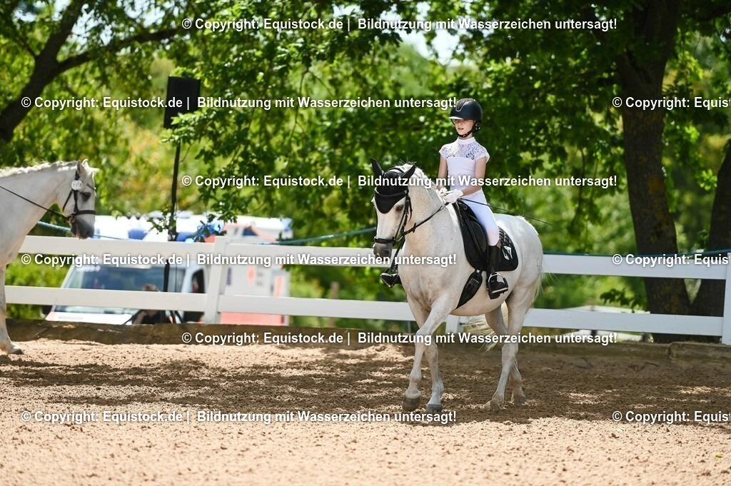 20230715_09_Dressur-WB_0003 | equistock