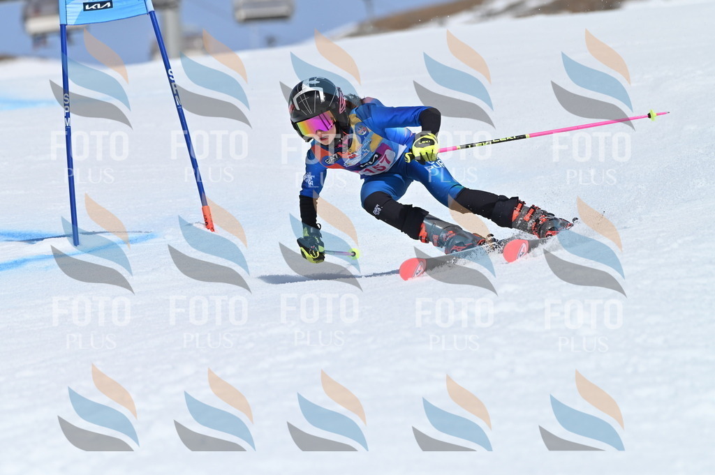 BGV_0185 | holidayphoto