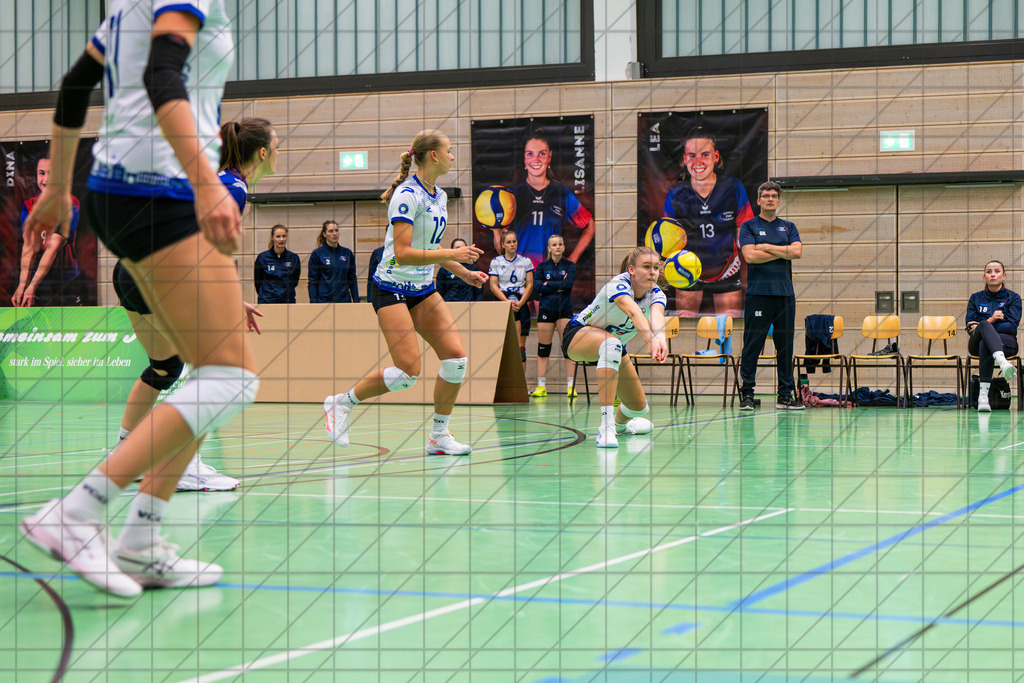 2. VBLF Nord 25/26 | SPT 02 (#4011) | VC Osnabrück vs. USC Münster II | //  27.09.25: 2. VBLF Nord 25/26 | SPT 02 (#4011) | VC Osnabrück vs. USC Münster II / Osnabrück / Deutschland  //   CREDIT:www.bullenfotos.de, Martin König, Hörner Weg 40, D-49078 Osnabrück, +4917663732967 // Nutzung und Weitergabe nur zu den vereinbarten Zwecken. Presseanfragen an Ersteller. Alle Rechte beim Ersteller. Honorierung nach MFM. - Realisiert mit Pictrs.com