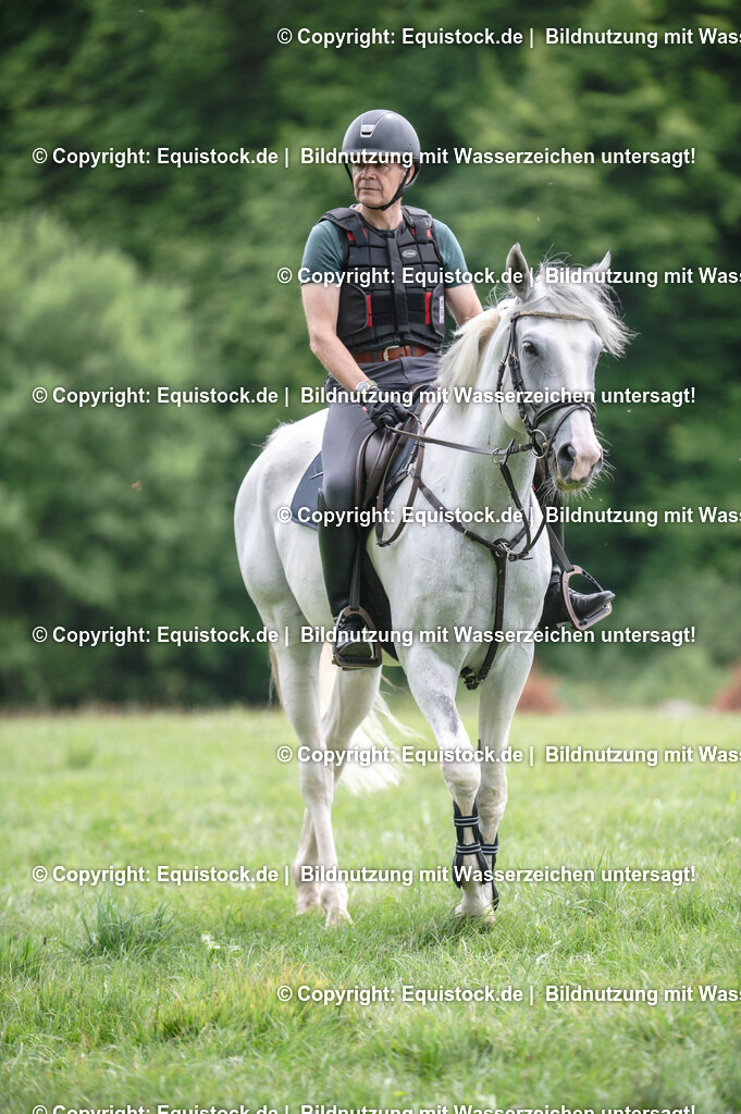 20250726_Vielseitigkeitslehrgang-Marbach_0570 | Foto: Thomas Hartig