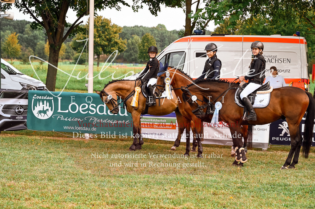 DSC_5789 | Pferde- und Turnierfotografie in Westsachsen. Pferdeportraits, Auftragszeichnungen und intuitive Kunst.