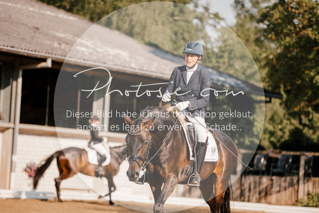 3I6A8572 | Stimmungsvolle Portraits und Reitsportfotografie im Ruhrgebiet und im Münsterland.

Pferdefotografie, Hundefotografie, Tierfotografie, Reportagen, Portraits von Tier und Mensch, Turnierfotografie in Bochum, Recklinghausen, Marl, Haltern am See, Dülmen.. - Realisiert mit Pictrs.com