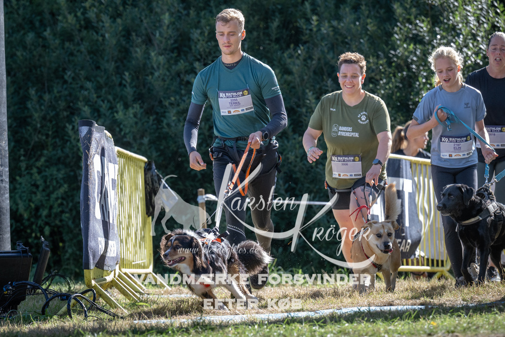 0959_ZZ97606 | kk-dogfotos