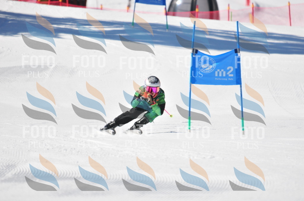 C3595 | holidayphoto