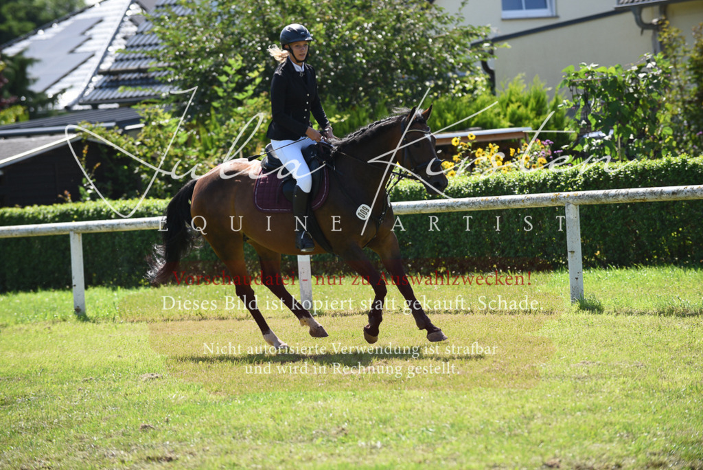 DSC_9555 | Pferde- und Turnierfotografie in Westsachsen. Pferdeportraits, Auftragszeichnungen und intuitive Kunst.