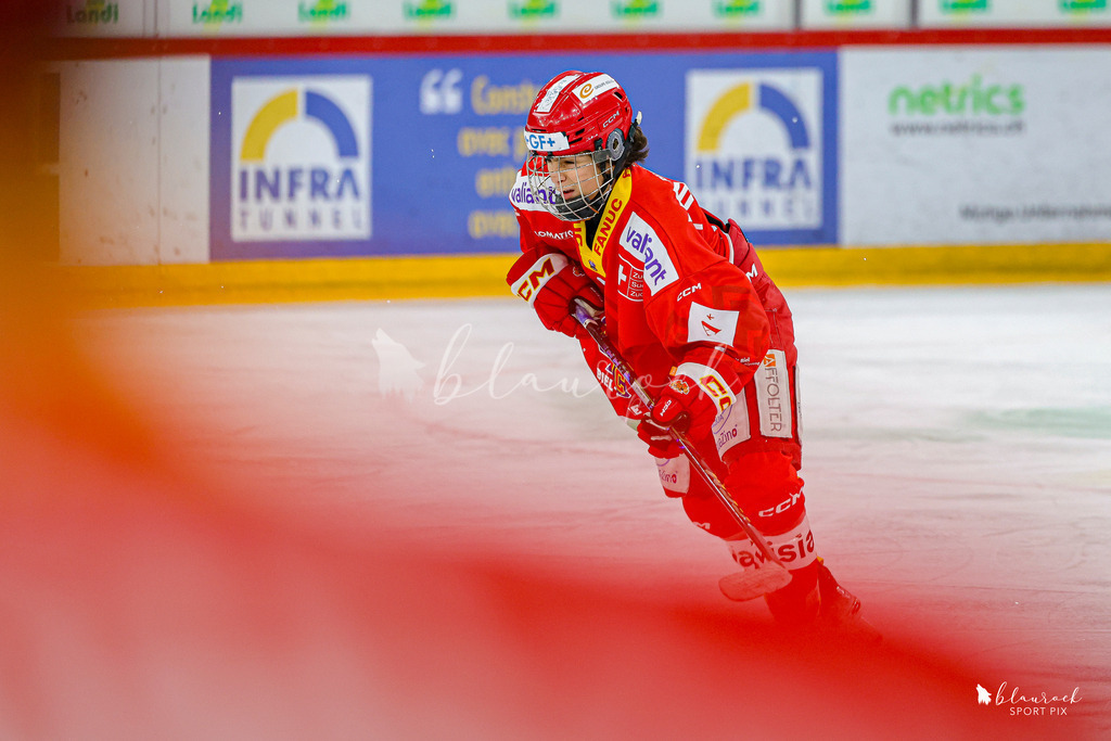 EHCB Spirit vs HCFG_wb-8576 | Sportbilder, Sportfotograf, Hochzeits- und Eventfotografin, Flugshows, Portraits und Tiershooting, Aviation, Downhill, Nationalleague, Swissleague, International