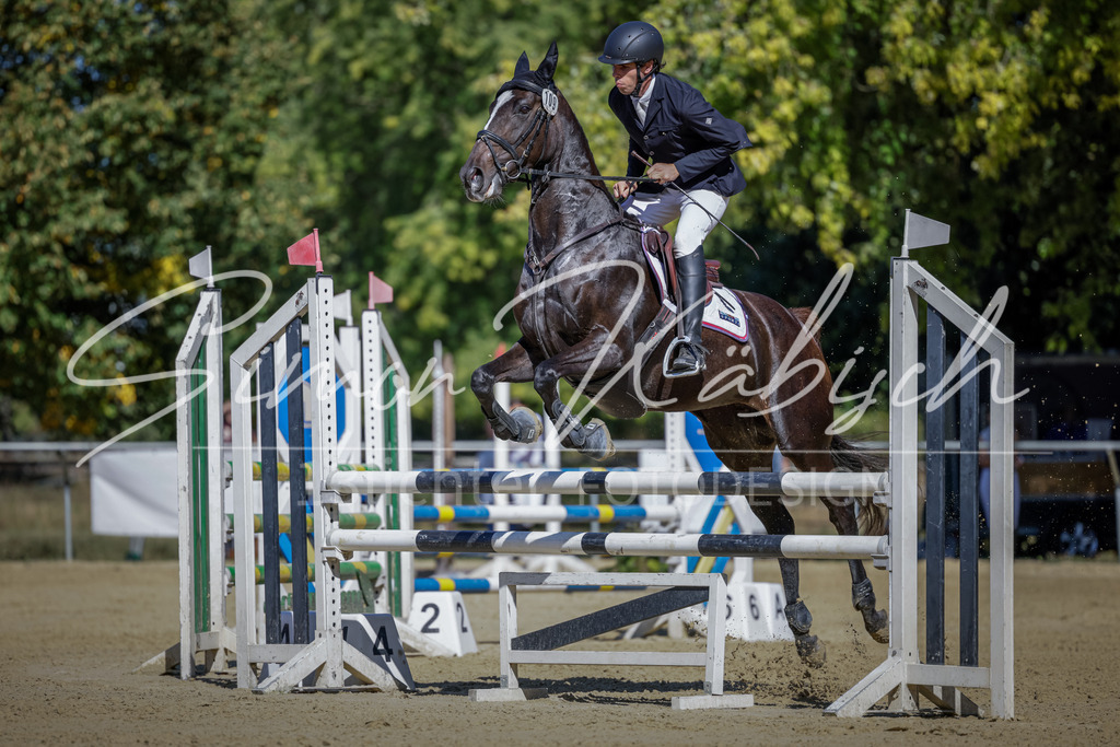 20250906-_3LI3771 | Tierfotografie Pferde, Hunde, Katzen, Haustiere.
Turnierfotografie Reitturniere, Reiten, Springreiten, Dressur in Hanau, dem Main-Kinzig-Kreis und dem Rhein-Main- Gebiet um Frankfurt