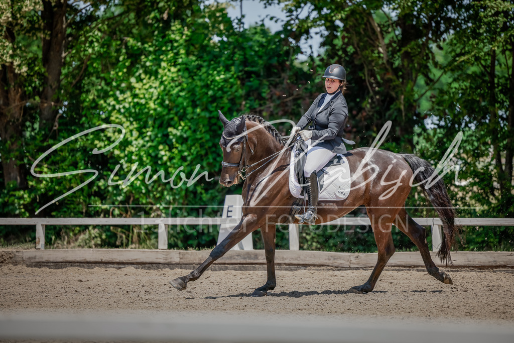 20250621-_3LI7823 | Tierfotografie Pferde, Hunde, Katzen, Haustiere.
Turnierfotografie Reitturniere, Reiten, Springreiten, Dressur in Hanau, dem Main-Kinzig-Kreis und dem Rhein-Main- Gebiet um Frankfurt