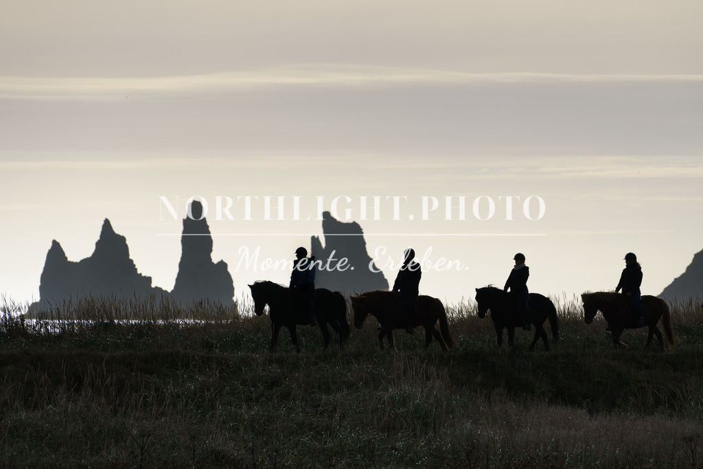 Reiten an islands schwarzen Stränden | Exklusive Landschaftsfotografien von der Ostsee, ganz Deutschland und dem Rest der Welt. Gedruckt auf hochwertigen Materialien. Die Welt an deiner Wand - jetzt im Northlight.Photo Shop bestellen. - Realisiert mit Pictrs.com