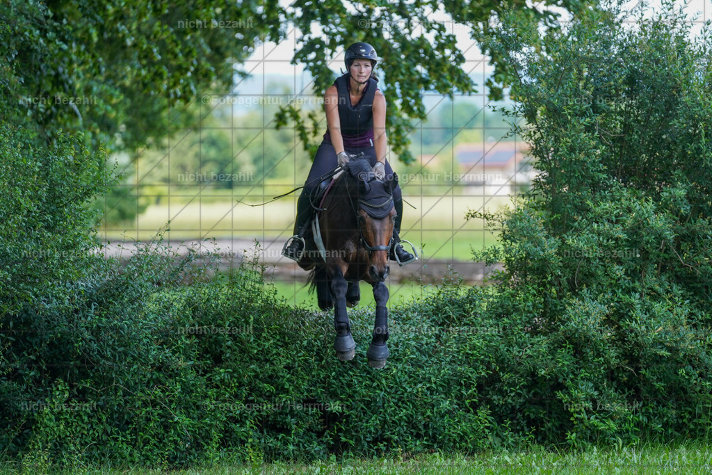 20240622-FAH07711 | Turnierfotografen Bayern, Reitsportbilder aus dem Geländekurs mit Felix Etzel auf dem Gut Waitzacker 2024