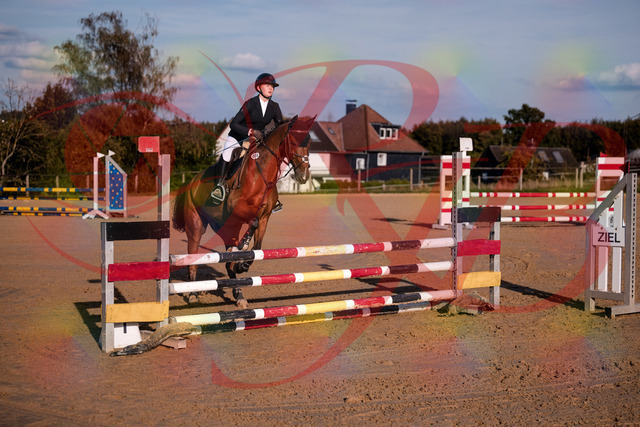 2026_10_03_Siefer-Hof_170837_Z81_04977636 | Professionelle Reitsport-, Turnier- und Eventfotografie von Robert Broda. Galerien mit ausgewählten und bearbeiteten Bildern direkt online ansehen und bestellen.