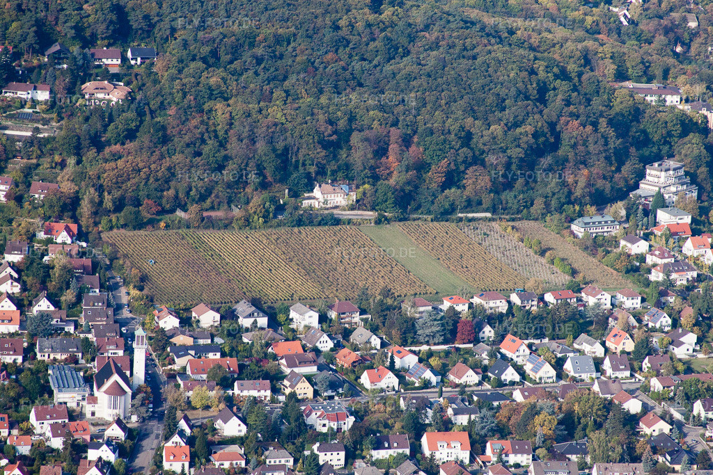 Luftbild: Weinbergs- Landschaft der Winzer- Gebiete zwischen Wald und Ortschaft im Ortsteil Hambach in Neustadt an der Weinstraße im Bundesland Rheinland-Pfalz in Deutschland. Foto: IMG_22084.jpg vom 15.10.2009 durch Werner Riehm/FLY-FOTO.de