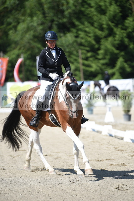 DSC_8224 | equestrian-live-com