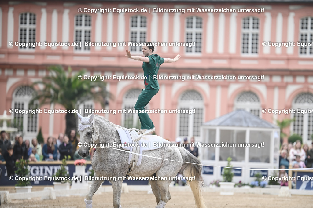 20240519_Voltige_0091 | Foto: Thomas Hartig