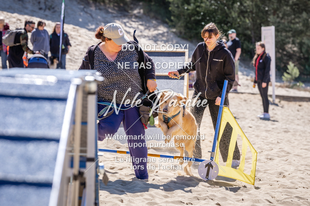 NR__1431 | nelerasche