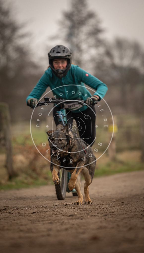 Pfotenfotografie_DV3A4161 | Hundefotografie, Tierfotograf, Pfotenfotografie, Fotoshooting Hund, Hunde Portrait, Hundesport, Hundeportraits, Heideshooting, Hunde, Sportfotograf, Hundefotograf, Turnierhundsport, THS,  - Realisiert mit Pictrs.com
