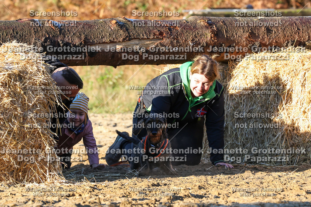 Dog Paparazzi - Strongdog 10-25-1017 | Dog Paparazzi Jeanette Grottendiek Fotografie & Videografie - Realisiert mit Pictrs.com