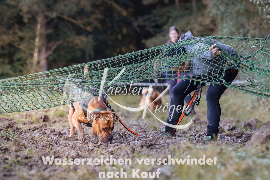 1012_ZZ90656 | kk-dogfotos