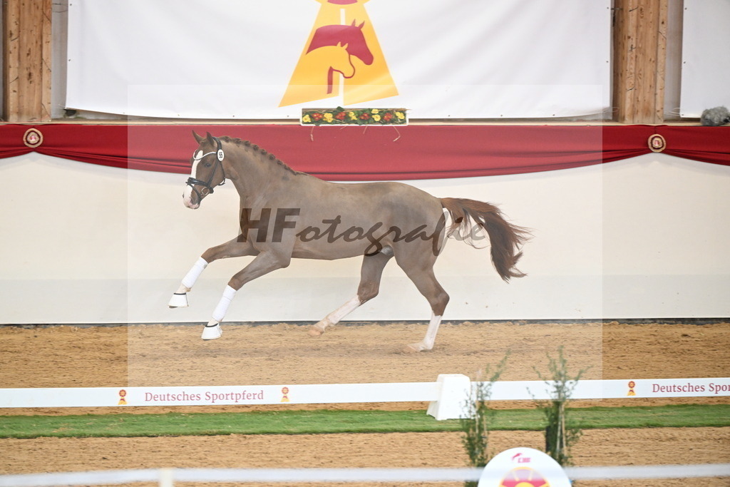 Kat.-Nr. 55 v. Ellis_Senf _ Kampmann_2250403 | hf-fotografie - Realisiert mit Pictrs.com