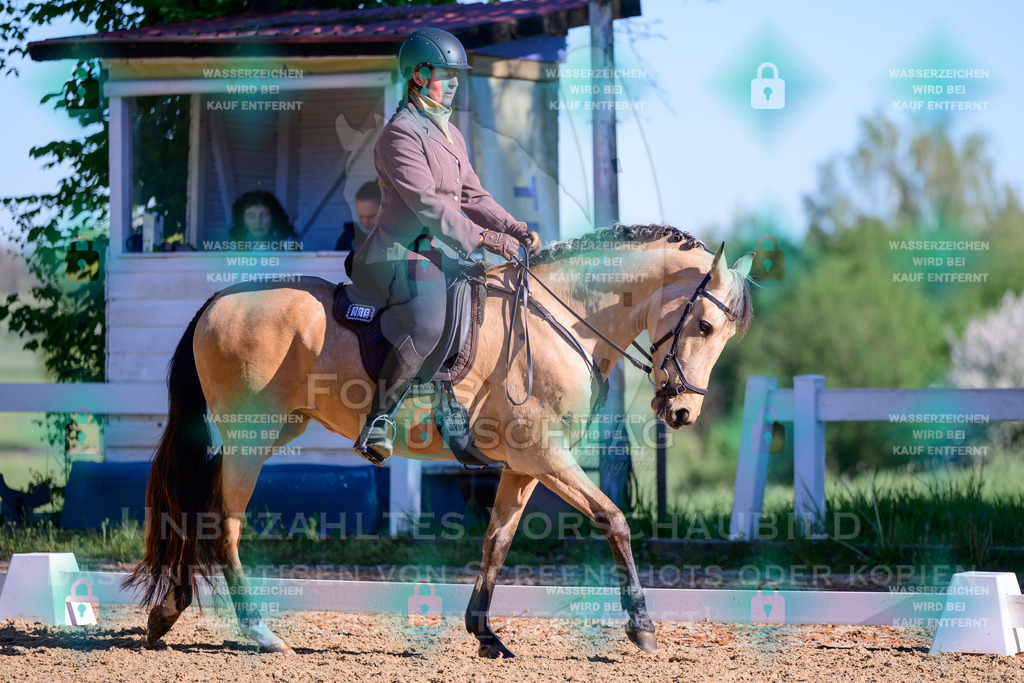 02052026-Giesenbach-01-Dressur-0238 | Fokus Hufschlag Fotografie - Realisiert mit Pictrs.com