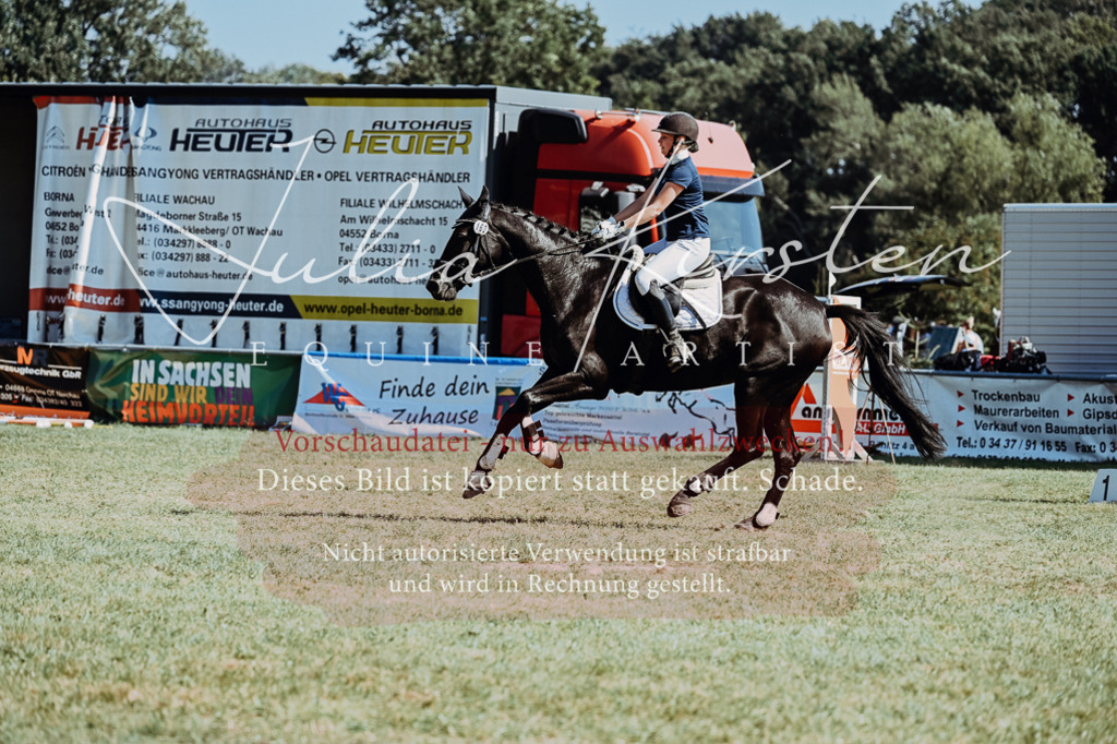 DSC_6626 | Pferde- und Turnierfotografie in Westsachsen. Pferdeportraits, Auftragszeichnungen und intuitive Kunst.
