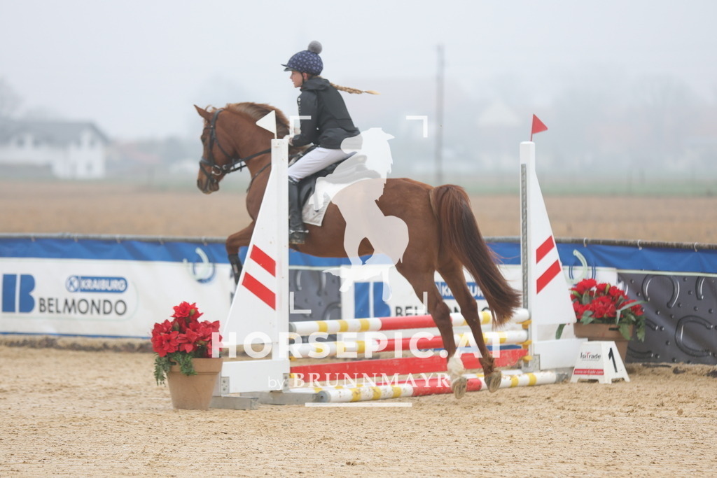 0P6A8215 | Willkommen bei Brunnmayr - Design & Fotografie – Ihrem Spezialisten für Reitturniere und Pferdeveranstaltungen in Oberösterreich, Salzburg und Bayern! Seit über 17 Jahren sind wir leidenschaftlich dabei.