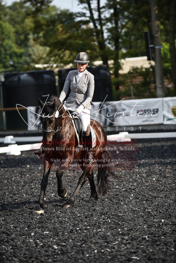 DSC_3316 | Pferde- und Turnierfotografie in Westsachsen. Pferdeportraits, Auftragszeichnungen und intuitive Kunst.