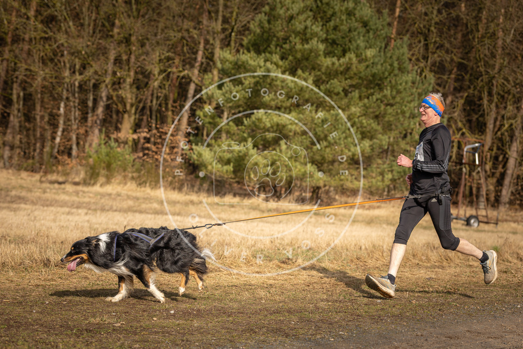 DV3A3849 | Hundefotografie, Tierfotograf, Pfotenfotografie, Fotoshooting Hund, Hunde Portrait, Hundesport, Hundeportraits, Heideshooting, Hunde, Sportfotograf, Hundefotograf, Turnierhundsport, THS,  - Realisiert mit Pictrs.com