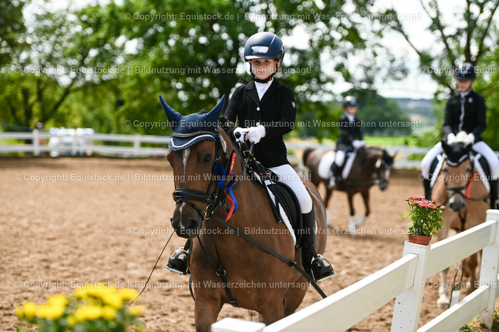 20230716_10-3_Reiter-WB Schritt - Trab - Galopp_0251 | equistock
