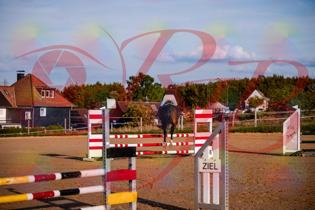 2026_10_03_Siefer-Hof_171039_Z81_07577896 | Professionelle Reitsport-, Turnier- und Eventfotografie von Robert Broda. Galerien mit ausgewählten und bearbeiteten Bildern direkt online ansehen und bestellen.