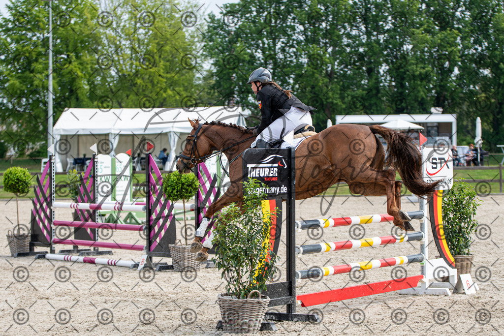 KPT_2613 | andre_photographic