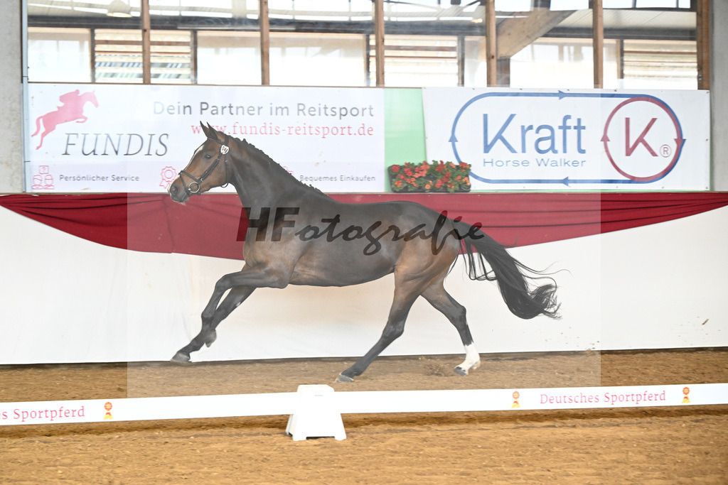Kat-Nr. 48 Bellana v. Bellany_Jaumann_16250219 | hf-fotografie - Realizzato con Pictrs.com