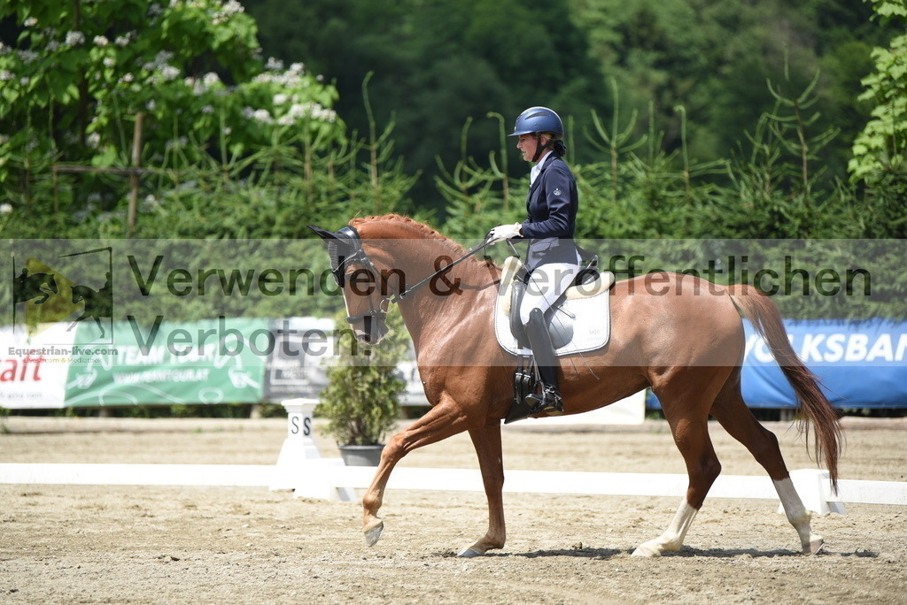 DSC_9342 | equestrian-live-com