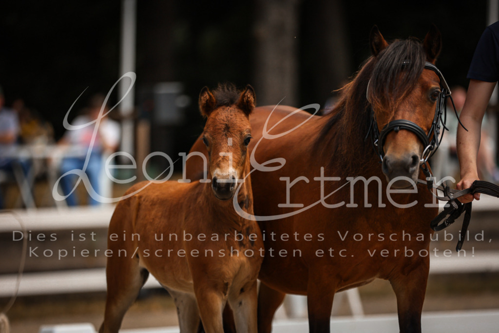 02.DoSR00116 | Leoni Ertmer Photography - Realisiert mit Pictrs.com