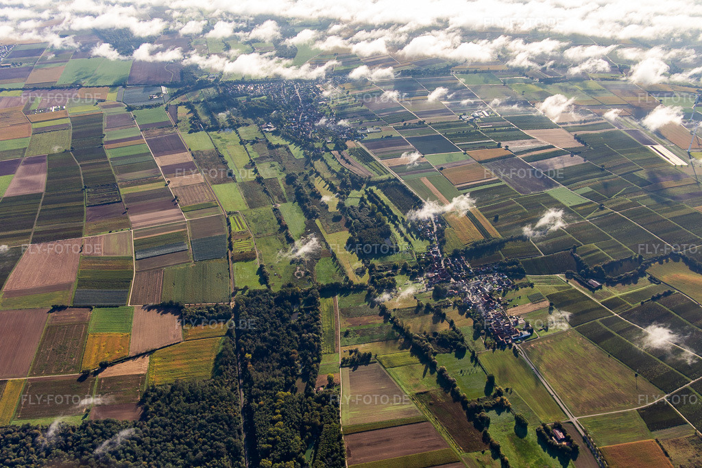 Luftbild: Billigheimer Bruch von Westen im Ortsteil Mühlhofen in Billigheim-Ingenheim im Bundesland Rheinland-Pfalz in Deutschland. Foto: IMG_143497.jpg vom 29.09.2024 durch Werner Riehm/FLY-FOTO.de