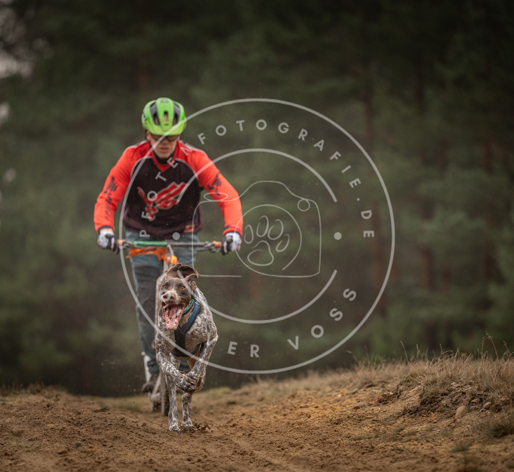 Pfotenfotografie_DV3A4680 | Hundefotografie, Tierfotograf, Pfotenfotografie, Fotoshooting Hund, Hunde Portrait, Hundesport, Hundeportraits, Heideshooting, Hunde, Sportfotograf, Hundefotograf, Turnierhundsport, THS,  - Realisiert mit Pictrs.com