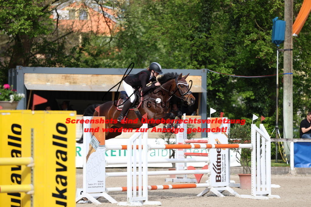 A40A2836 | lmwpictures - Realisiert mit Pictrs.com