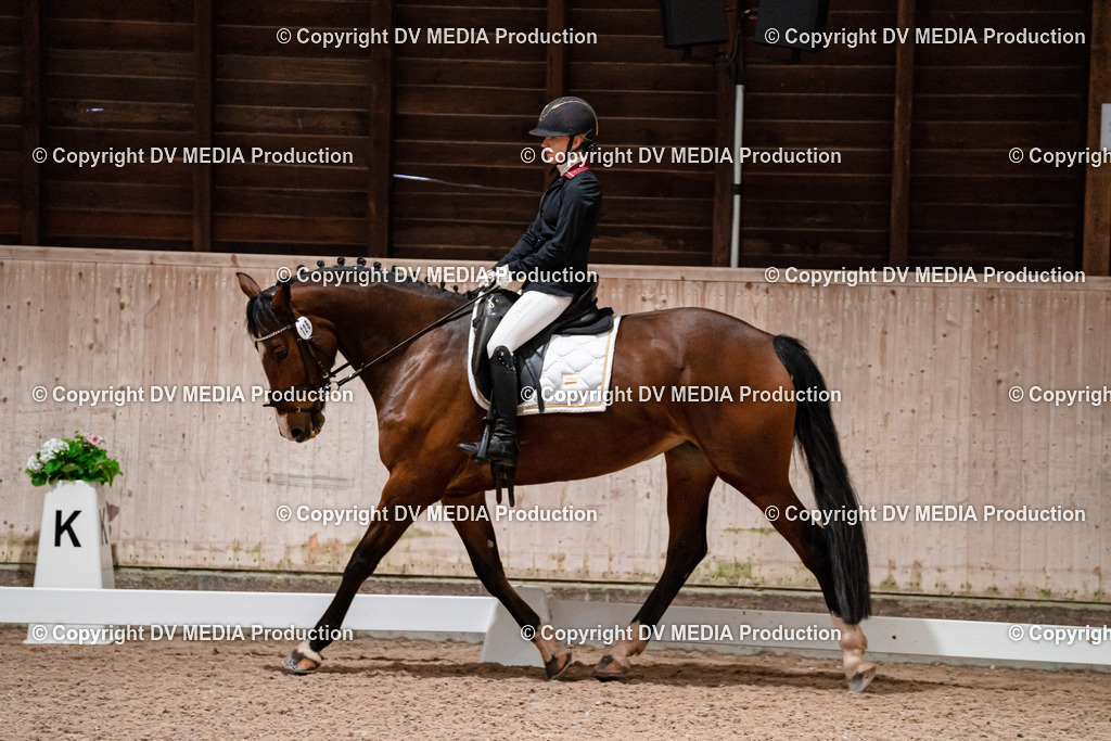 Dressur Tag 2-388 | dv-media-shop - Realisiert mit Pictrs.com