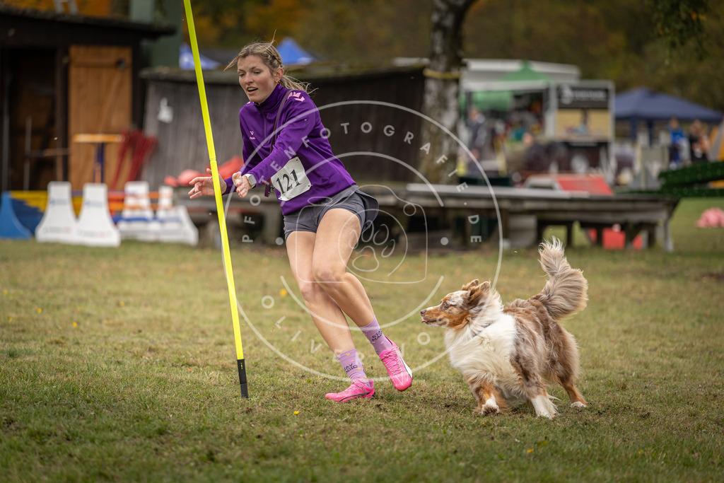Pfotenfotografie_DV3A7377 | Hundefotografie, Tierfotograf, Pfotenfotografie, Fotoshooting Hund, Hunde Portrait, Hundesport, Hundeportraits, Heideshooting, Hunde, Sportfotograf, Hundefotograf, Turnierhundsport, THS,  - Realisiert mit Pictrs.com