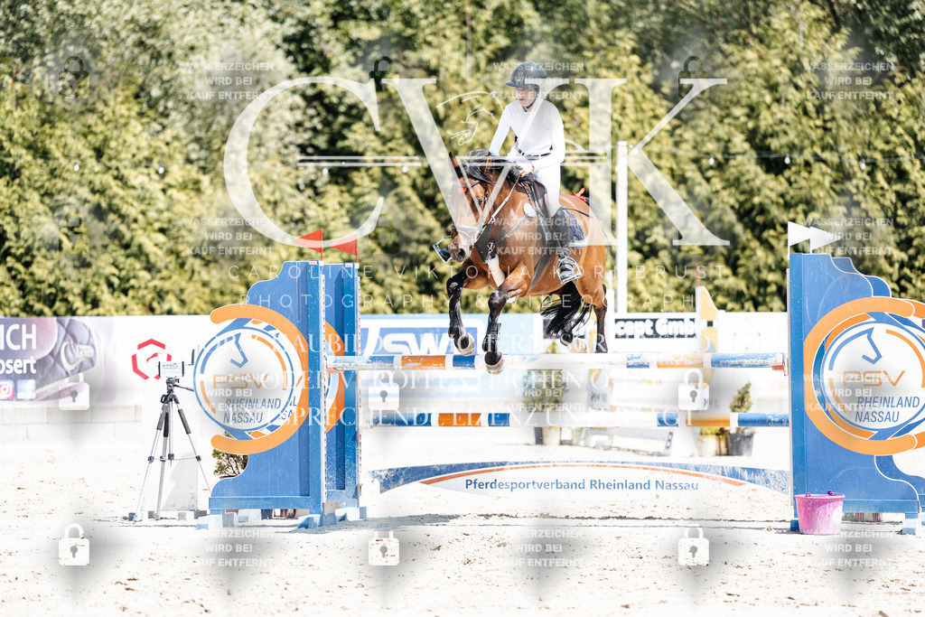 CK900268 | Turnierfotografie Pferdefotografie Trier Rheinland-Pfalz Pferdesport Reitsport Tierfotografie Sportfotografie Pferdevideo Pferdevideografie Equestrianvideography equestrianphotography  - Realisiert mit Pictrs.com