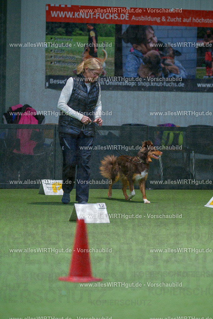 7R501352 | Professionelle Tierfotografie in Mönchengladbach von Daniel Wirth (allesWIRTHgut). Liebevolle & natürliche Bilder von Hunden & Katzen für unvergessliche Erinnerungen.