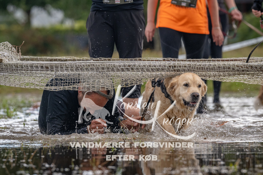 1441_ZZ90715 | kk-dogfotos