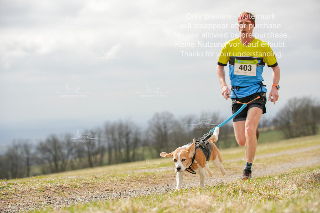 CaniXRunSA-39 | stephaniefillaphotographie - Realisiert mit Pictrs.com